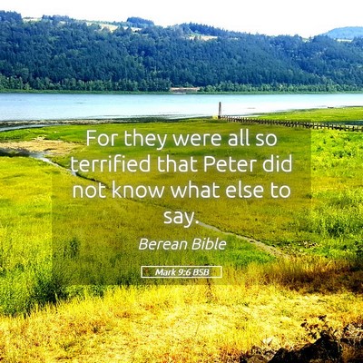 Picture 05 - Mark 9:6 BSB - For they were all so terrified that Peter did not - Bible Verse Picture