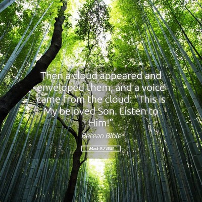 Picture 05 - Mark 9:7 BSB - Then a cloud appeared and enveloped them, and a - Bible Verse Picture