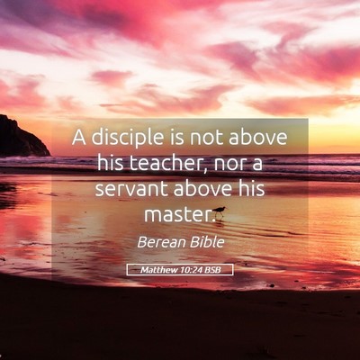 Picture 05 - Matthew 10:24 BSB - A disciple is not above his teacher, nor a - Bible Verse Picture