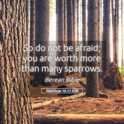 Picture 05 - Matthew 10:31 BSB - So do not be afraid; you are worth more than many - Bible Verse Picture
