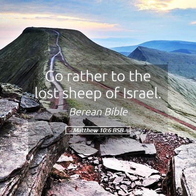 Picture 05 - Matthew 10:6 BSB - Go rather to the lost sheep of - Bible Verse Picture