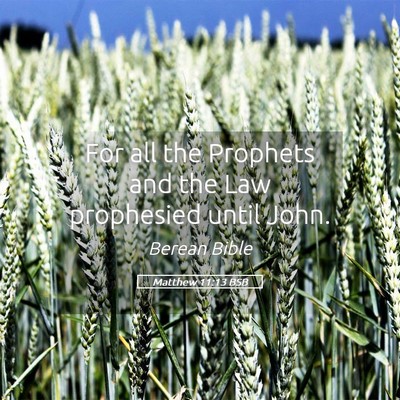 Picture 05 - Matthew 11:13 BSB - For all the Prophets and the Law prophesied until - Bible Verse Picture