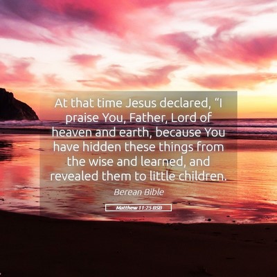 Picture 05 - Matthew 11:25 BSB - At that time Jesus declared, “I praise You, - Bible Verse Picture