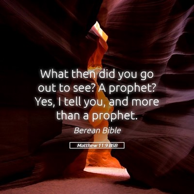 Picture 05 - Matthew 11:9 BSB - What then did you go out to see? A prophet? Yes, - Bible Verse Picture