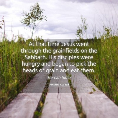 Picture 05 - Matthew 12:1 BSB - At that time Jesus went through the grainfields - Bible Verse Picture