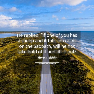 Picture 05 - Matthew 12:11 BSB - He replied, “If one of you has a sheep and it - Bible Verse Picture