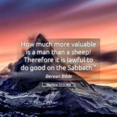 Picture 05 - Matthew 12:12 BSB - How much more valuable is a man than a sheep! - Bible Verse Picture