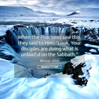 Picture 05 - Matthew 12:2 BSB - When the Pharisees saw this, they said to Him, - Bible Verse Picture