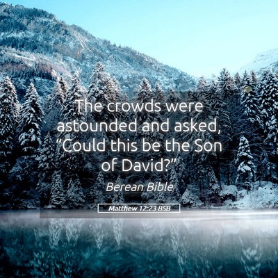 Picture 05 - Matthew 12:23 BSB - The crowds were astounded and asked, “Could - Bible Verse Picture