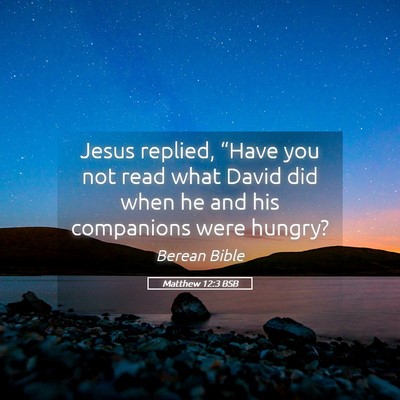 Picture 05 - Matthew 12:3 BSB - Jesus replied, “Have you not read what David - Bible Verse Picture