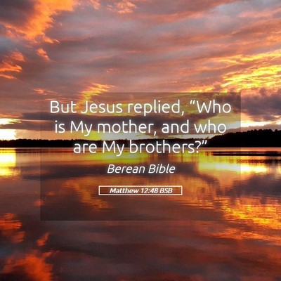 Picture 05 - Matthew 12:48 BSB - But Jesus replied, “Who is My mother, and who - Bible Verse Picture
