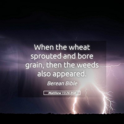 Picture 05 - Matthew 13:26 BSB - When the wheat sprouted and bore grain, then the - Bible Verse Picture