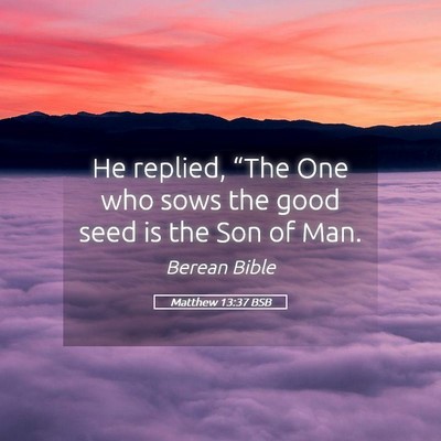 Picture 05 - Matthew 13:37 BSB - He replied, “The One who sows the good seed is - Bible Verse Picture