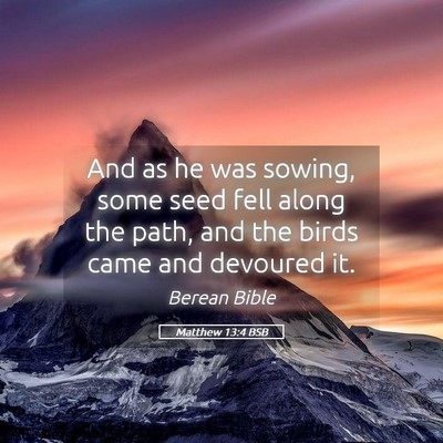 Picture 05 - Matthew 13:4 BSB - And as he was sowing, some seed fell along the - Bible Verse Picture