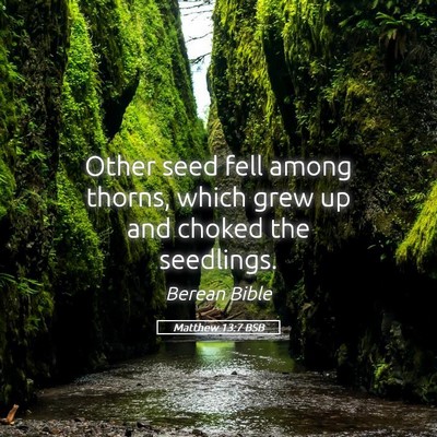 Picture 05 - Matthew 13:7 BSB - Other seed fell among thorns, which grew up and - Bible Verse Picture