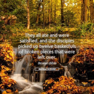 Picture 05 - Matthew 14:20 BSB - They all ate and were satisfied, and the - Bible Verse Picture