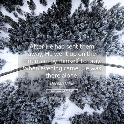 Picture 05 - Matthew 14:23 BSB - After He had sent them away, He went up on the - Bible Verse Picture