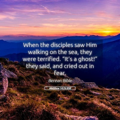 Picture 05 - Matthew 14:26 BSB - When the disciples saw Him walking on the sea, - Bible Verse Picture