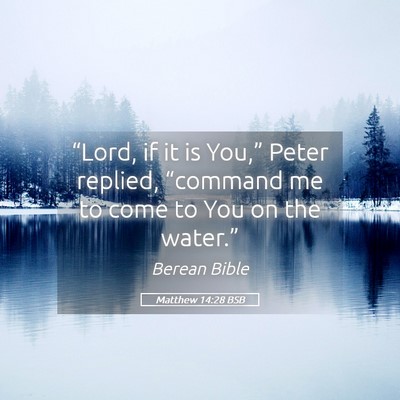 Picture 05 - Matthew 14:28 BSB - “Lord, if it is You,” Peter replied, - Bible Verse Picture