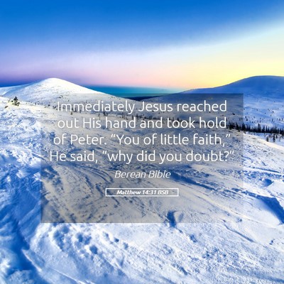 Picture 05 - Matthew 14:31 BSB - Immediately Jesus reached out His hand and took - Bible Verse Picture