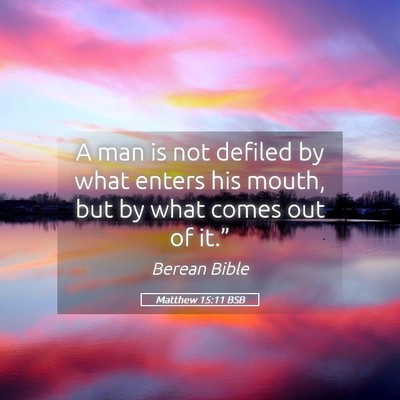 Picture 05 - Matthew 15:11 BSB - A man is not defiled by what enters his mouth, - Bible Verse Picture