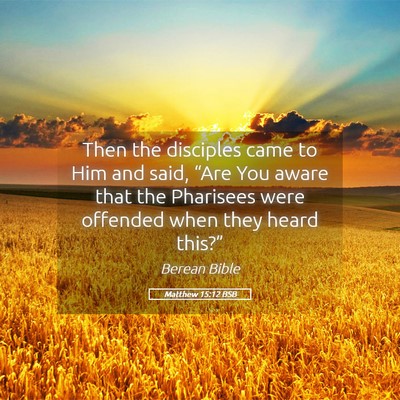 Picture 05 - Matthew 15:12 BSB - Then the disciples came to Him and said, “Are - Bible Verse Picture