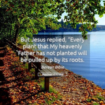 Picture 05 - Matthew 15:13 BSB - But Jesus replied, “Every plant that My - Bible Verse Picture