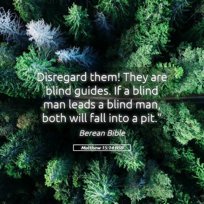 Picture 05 - Matthew 15:14 BSB - Disregard them! They are blind guides. If a blind - Bible Verse Picture