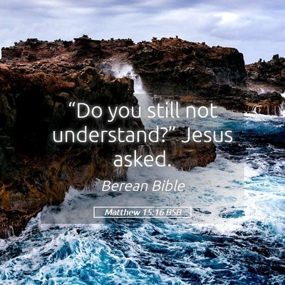Picture 05 - Matthew 15:16 BSB - “Do you still not understand?” Jesus - Bible Verse Picture