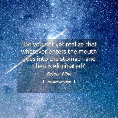 Picture 05 - Matthew 15:17 BSB - “Do you not yet realize that whatever enters - Bible Verse Picture
