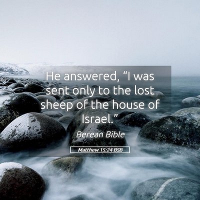 Picture 05 - Matthew 15:24 BSB - He answered, “I was sent only to the lost sheep - Bible Verse Picture