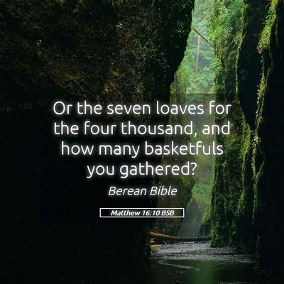Picture 05 - Matthew 16:10 BSB - Or the seven loaves for the four thousand, and - Bible Verse Picture