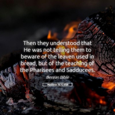 Picture 05 - Matthew 16:12 BSB - Then they understood that He was not telling them - Bible Verse Picture