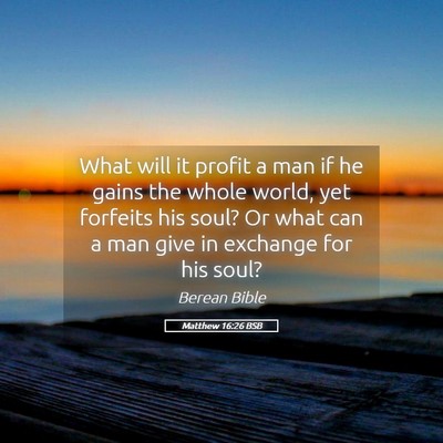 Picture 05 - Matthew 16:26 BSB - What will it profit a man if he gains the whole - Bible Verse Picture