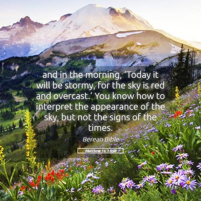 Picture 05 - Matthew 16:3 BSB - and in the morning, ‘Today it will be stormy, - Bible Verse Picture