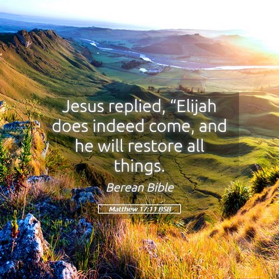 Picture 05 - Matthew 17:11 BSB - Jesus replied, “Elijah does indeed come, and he - Bible Verse Picture
