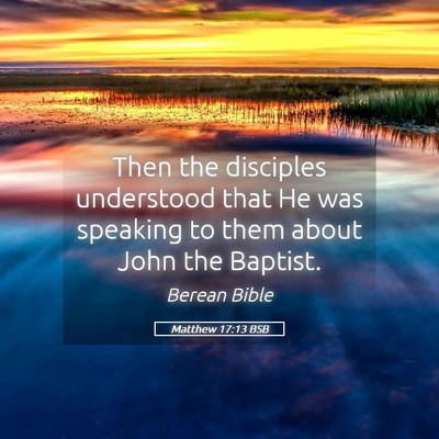 Picture 05 - Matthew 17:13 BSB - Then the disciples understood that He was - Bible Verse Picture