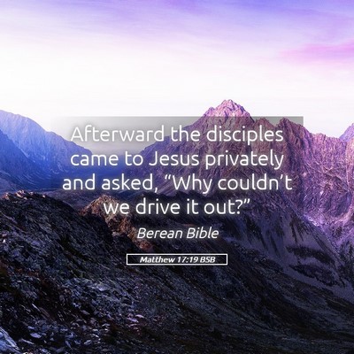 Picture 05 - Matthew 17:19 BSB - Afterward the disciples came to Jesus privately - Bible Verse Picture
