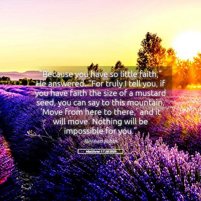 Picture 05 - Matthew 17:20 BSB - “Because you have so little faith,” He - Bible Verse Picture