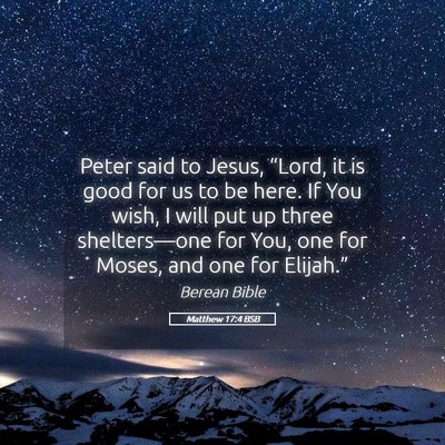 Picture 05 - Matthew 17:4 BSB - Peter said to Jesus, “Lord, it is good for us - Bible Verse Picture