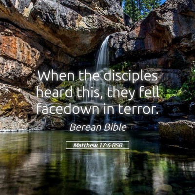 Picture 05 - Matthew 17:6 BSB - When the disciples heard this, they fell facedown - Bible Verse Picture