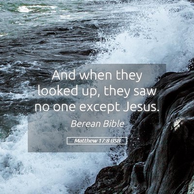 Picture 05 - Matthew 17:8 BSB - And when they looked up, they saw no one except - Bible Verse Picture