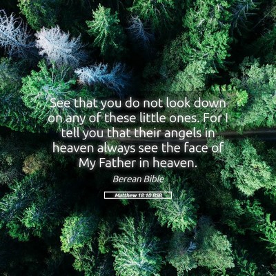 Picture 05 - Matthew 18:10 BSB - See that you do not look down on any of these - Bible Verse Picture
