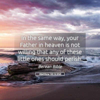 Picture 05 - Matthew 18:14 BSB - In the same way, your Father in heaven is not - Bible Verse Picture