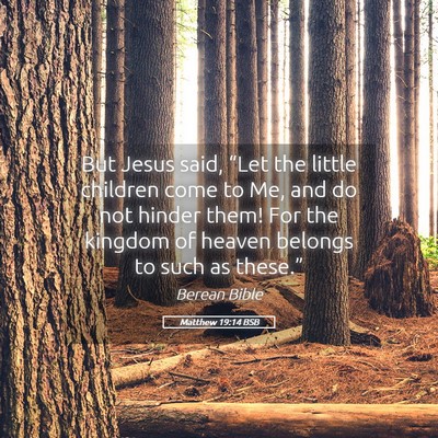 Picture 05 - Matthew 19:14 BSB - But Jesus said, “Let the little children come - Bible Verse Picture