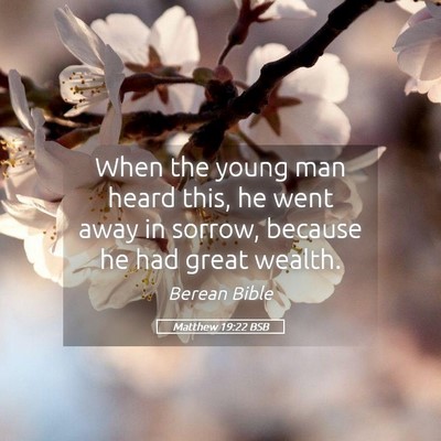 Picture 05 - Matthew 19:22 BSB - When the young man heard this, he went away in - Bible Verse Picture