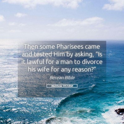 Picture 05 - Matthew 19:3 BSB - Then some Pharisees came and tested Him by - Bible Verse Picture