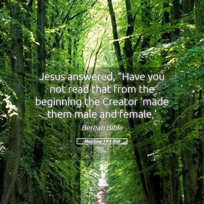 Picture 05 - Matthew 19:4 BSB - Jesus answered, “Have you not read that from - Bible Verse Picture