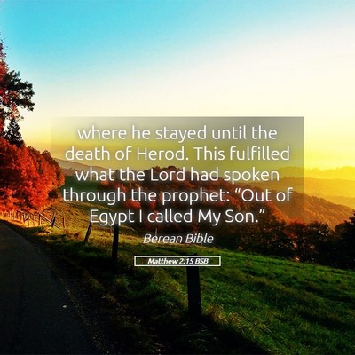 Picture 05 - Matthew 2:15 BSB - where he stayed until the death of Herod. This - Bible Verse Picture