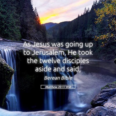 Picture 05 - Matthew 20:17 BSB - As Jesus was going up to Jerusalem, He took the - Bible Verse Picture